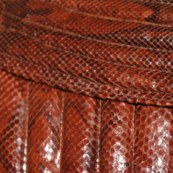 VINTAGE Snakeskin Clutch (1930's) - Picture 5 of 6